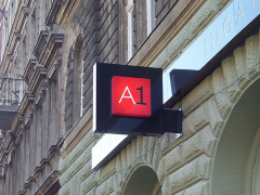 a13